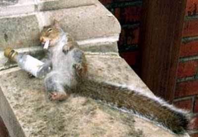 he drinks much vodka and smoke 10 baquet